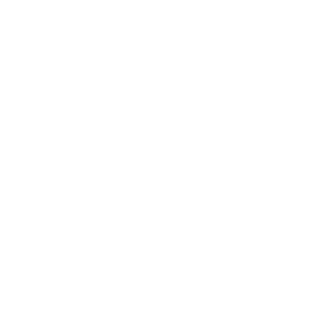 Language versions